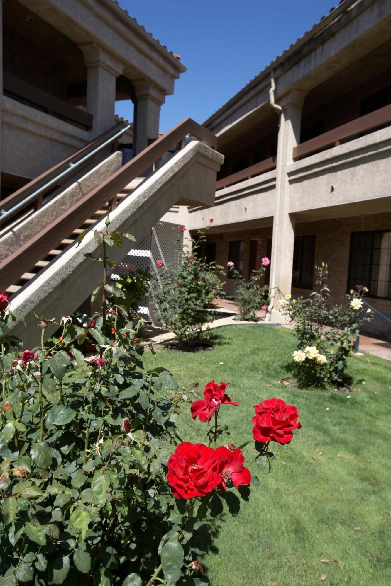 Premier Inns Thousand Oaks Extérieur photo